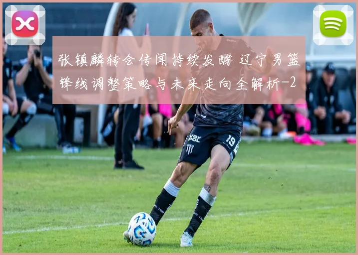 张镇麟转会传闻持续发酵 辽宁男篮锋线调整策略与未来走向全解析