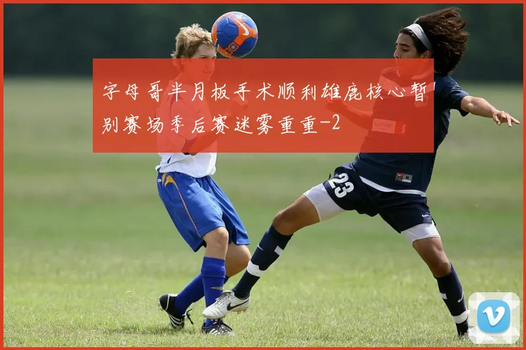 字母哥半月板手术顺利雄鹿核心暂别赛场季后赛迷雾重重