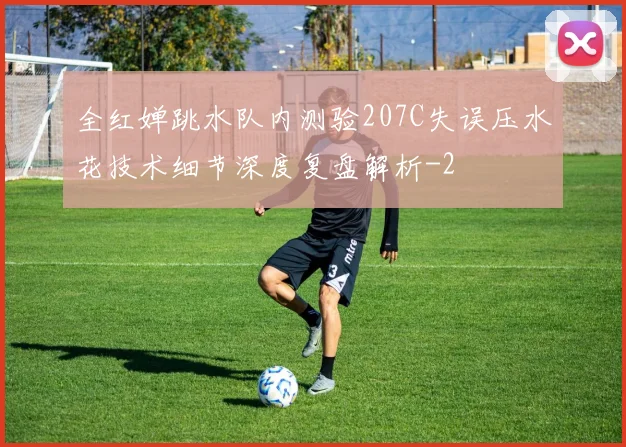 全红婵跳水队内测验207C失误压水花技术细节深度复盘解析