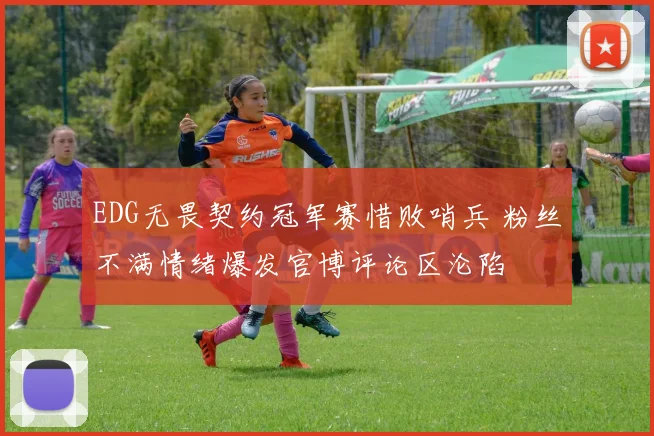 EDG无畏契约冠军赛惜败哨兵 粉丝不满情绪爆发官博评论区沦陷