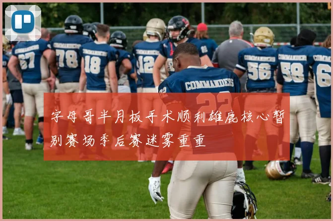 字母哥半月板手术顺利雄鹿核心暂别赛场季后赛迷雾重重